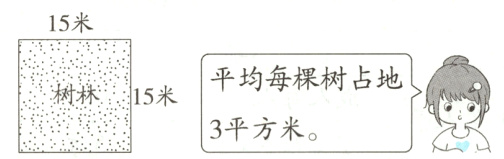 树林15米3平方米