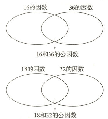 18和32的公因数