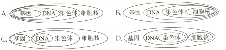 DNA染色体细胞核C基因DNA染色体细胞D基因