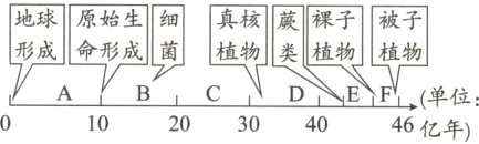 单位1020304046亿年