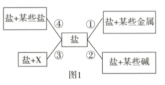 盐x盐某些碱图1