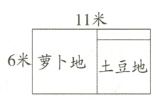 6米萝卜地土豆地