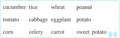 celerycarrotsweetpotatocorn