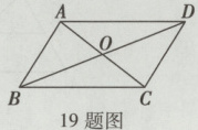 19题图
