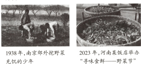 2023年河南某饭店举办1938年南京郊外挖野菜寻味食鲜野菜节充饥的少年
