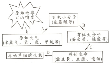 c原始单细胞生物能生长生殖遗传