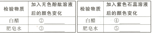 白醋白醋肥皂水肥皂水