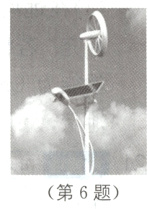 第6题