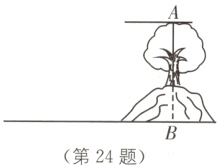 第24题
