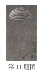 第11题图