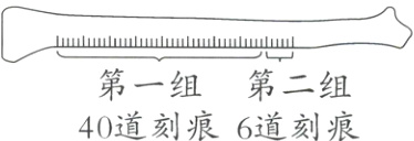 第一组第二组40道刻痕6道刻痕