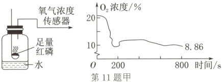 红磷800时间s0200第11题甲