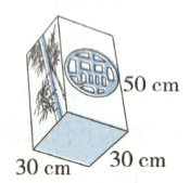 30cm30cm