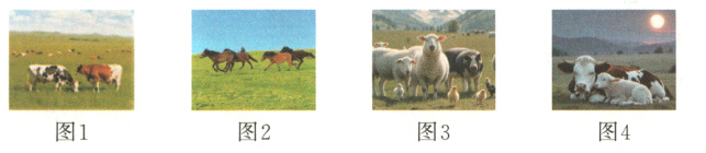 图1图2图3图4