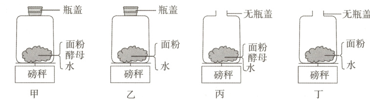 磅秤磅秤磅秤磅秤
