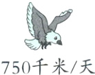 750千米/天