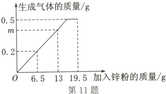 06513195加入锌粉的质量g第11题