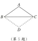 D第5题