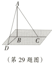 第29题图