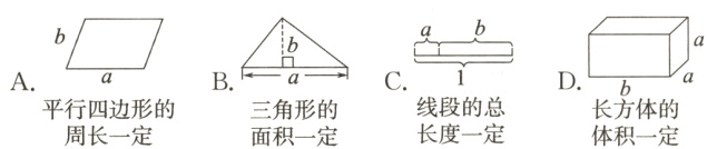 BCDA长方体的线段的总平行四边形的三角形的长度一定周长一定体积一定面积一定