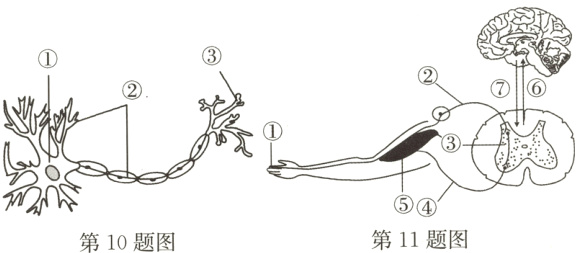 第11题图第10题图