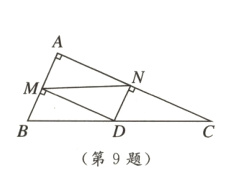 第9题