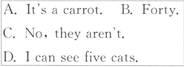 CNotheyarentDIcanseefivecats