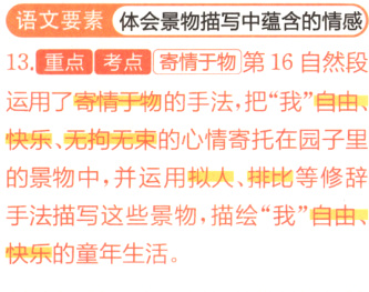 快乐的童年生活