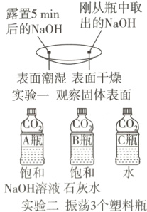饱和饱和NaOH溶液石灰水实验二振荡3个塑料瓶