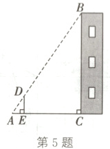 第5题