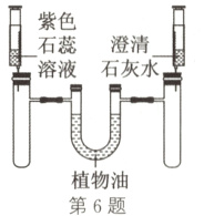 植物油第6题