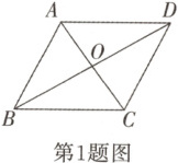 第1题图