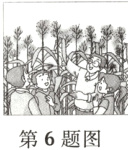 第6题图
