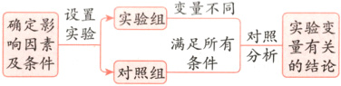 确定影实验变对照羹素量有关分析的结论