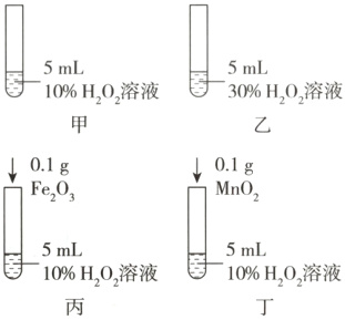 宫¹⁰nL宫⁵⁰%10%H₂O₂溶液10%H₂O₂溶液