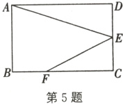 第5题