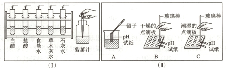 试纸试纸紫薯汁II1