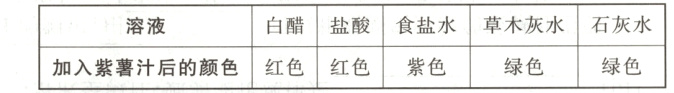 白醋盐酸食盐水草木灰水石灰水溶液绿色绿色加入紫薯汁后的颜色红色红色紫色