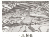 元阳梯田