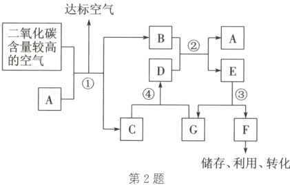 储存利用转化第2题