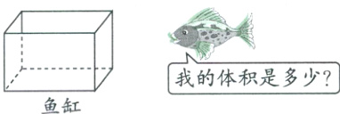 我的体积是多少鱼缸