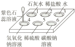 氢氧化稀硫酸碳酸钠钠溶液溶液