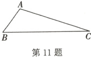 第11题