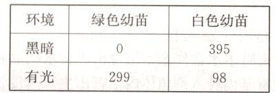 黑暗395有光29998