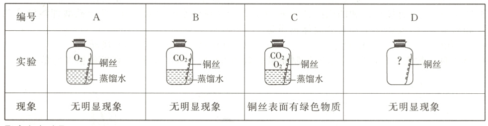 现象无明显现象无明显现象铜丝表面有绿色物质无明显现象