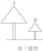 第7题图