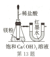 饱和CaOH溶液第13题