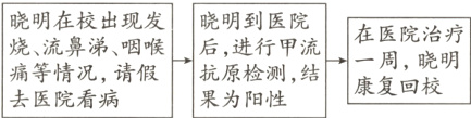 烧流鼻涕咽喉后进行甲流一周晓明痛等情况请假抗原检测结康复回校去医院看病果为阳性