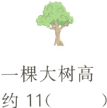 一棵大树高约11