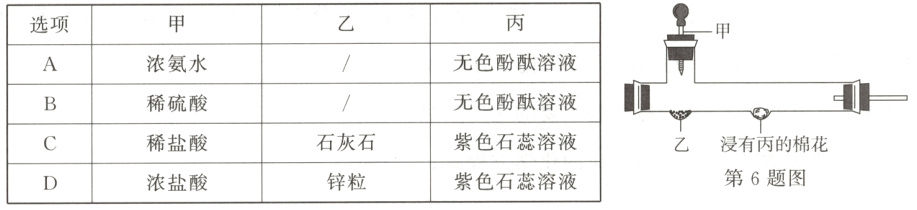紫色石蕊溶液石灰石稀盐酸乙浸有丙的棉花第6题图锌粒紫色石蕊溶液浓盐酸